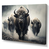 Grey Buffalo Gentle Guardians I - Animals Canvas Wall Art