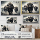 Grey Buffalo Gentle Guardians I - Animals Canvas Wall Art