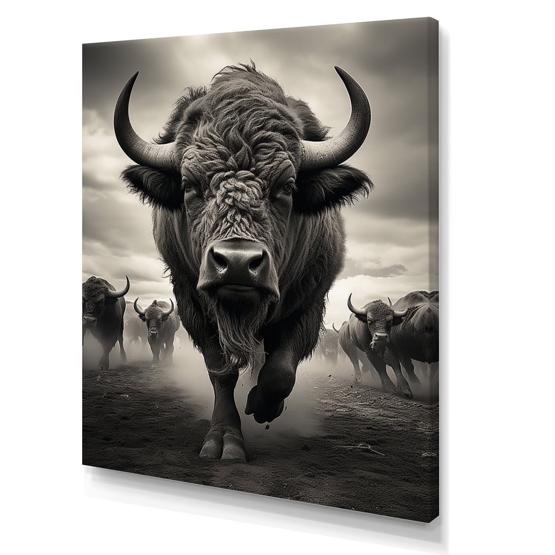 Grey Buffalo Grazing Giants - Buffalo Wall Decor