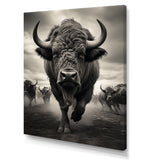 Grey Buffalo Grazing Giants - Buffalo Wall Decor