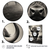 Grey Buffalo Grazing Giants - Buffalo Wall Decor