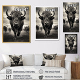 Grey Buffalo Grazing Giants - Buffalo Wall Decor
