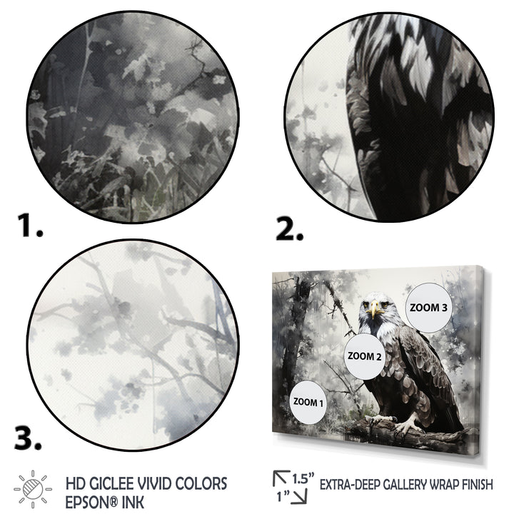 Grey Eagle Shadows Of Serenity - Eagle Framed Canvas Art