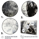 Grey Eagle Shadows Of Serenity - Eagle Framed Canvas Art