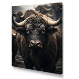 Brown Buffalo Whispers Of The - Buffalo Canvas Wall Art