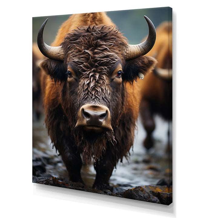 Buffalo National Photo - Bison Wall Art Prints