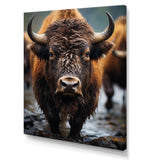 Buffalo National Photo - Bison Wall Art Prints