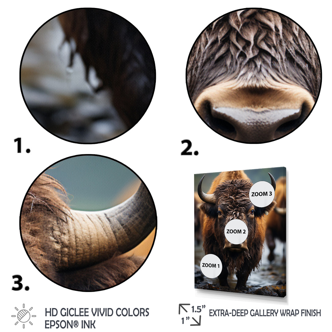 Buffalo National Photo - Bison Wall Art Prints