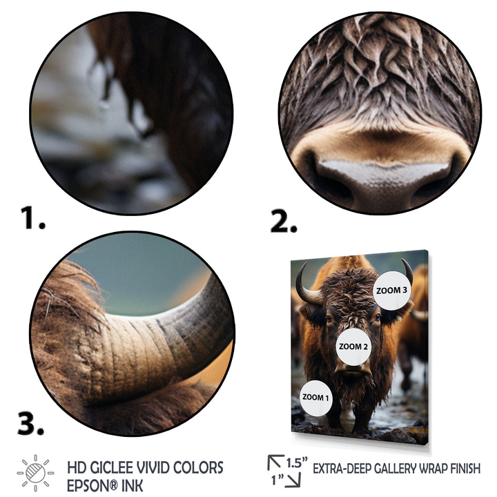 Buffalo National Photo - Bison Wall Art Prints