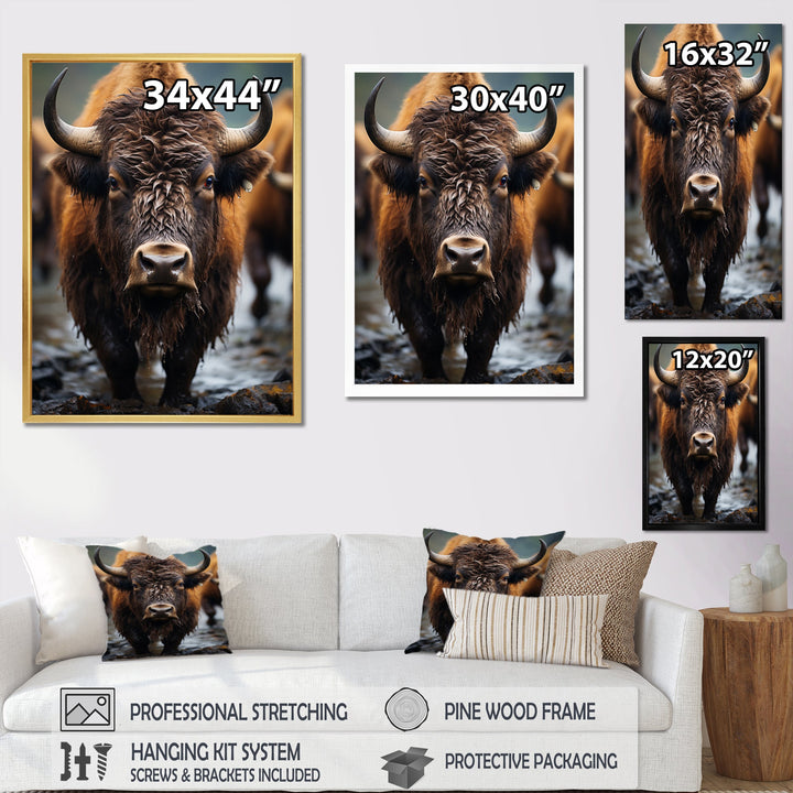 Buffalo National Photo - Bison Wall Art Prints