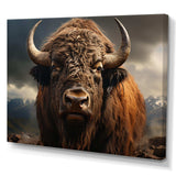 Buffalo Portrait - Animals Canvas Wall Art