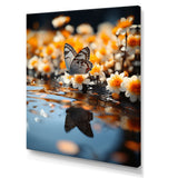 Orange Butterfly Floating Wonder - Butterfly Wall Art Prints