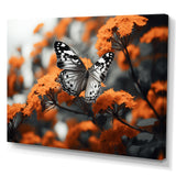 Coral Black Butterfly Fluttering Grace - Coral Butterfly Wall Art