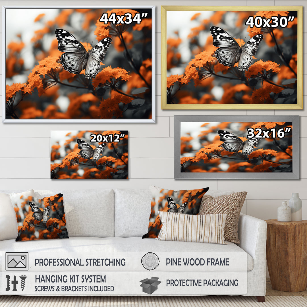 Coral Black Butterfly Fluttering Grace - Coral Butterfly Wall Art
