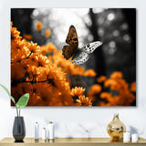Orange Grey Butterfly Fluttering Grace - Orange Butterfly Wall Art