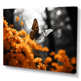 Orange Grey Butterfly Fluttering Grace - Orange Butterfly Wall Art