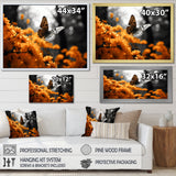 Orange Grey Butterfly Fluttering Grace - Orange Butterfly Wall Art