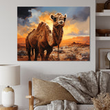 Camel Crossing - Camel Wall Decor
