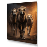 Camels Desert Symphony - Camel Wall Decor