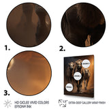 Camels Desert Symphony - Camel Wall Decor