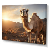 Camel Dusk Serenade - Beige Camel Wall Art
