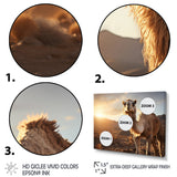 Camel Dusk Serenade - Beige Camel Wall Art