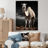 Camel Graceful Steps - Camel Framed Canvas Art