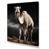 Camel Graceful Steps - Camel Framed Canvas Art