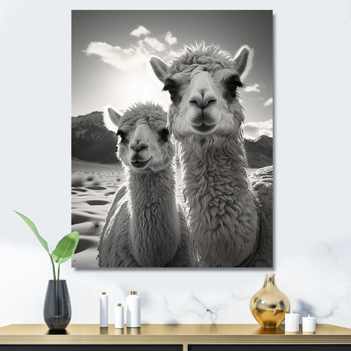 Camel Harmony In Monochrome - Camel Large Canvas Wall Art