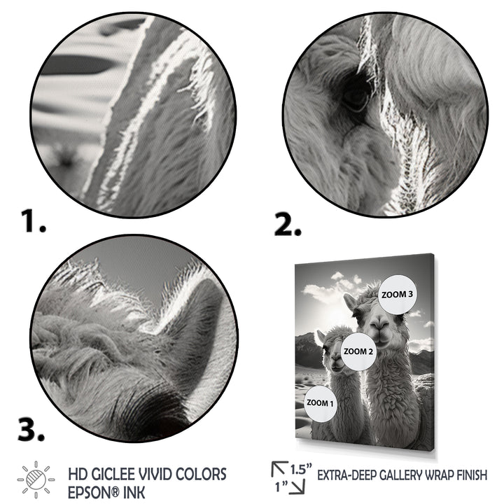 Camel Harmony In Monochrome - Camel Large Canvas Wall Art