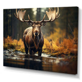 Canada Majestic Moose III - Landscapes Canvas Wall Art