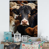 Cattle Animal - Cattle Canvas Wall Art