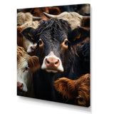 Cattle Animal - Cattle Canvas Wall Art
