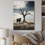 Cattle Guardians Of Deserts - Cattle Wall Art Prints