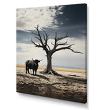 Cattle Guardians Of Deserts - Cattle Wall Art Prints