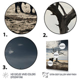 Cattle Guardians Of Deserts - Cattle Wall Art Prints