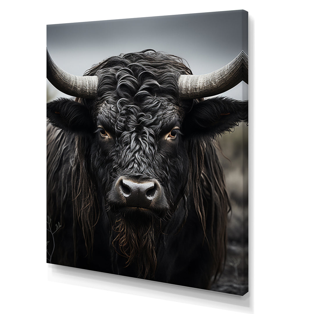 Cattle Majestic Horns - Cattle Framed Canvas Art