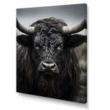 Cattle Majestic Horns - Cattle Framed Canvas Art
