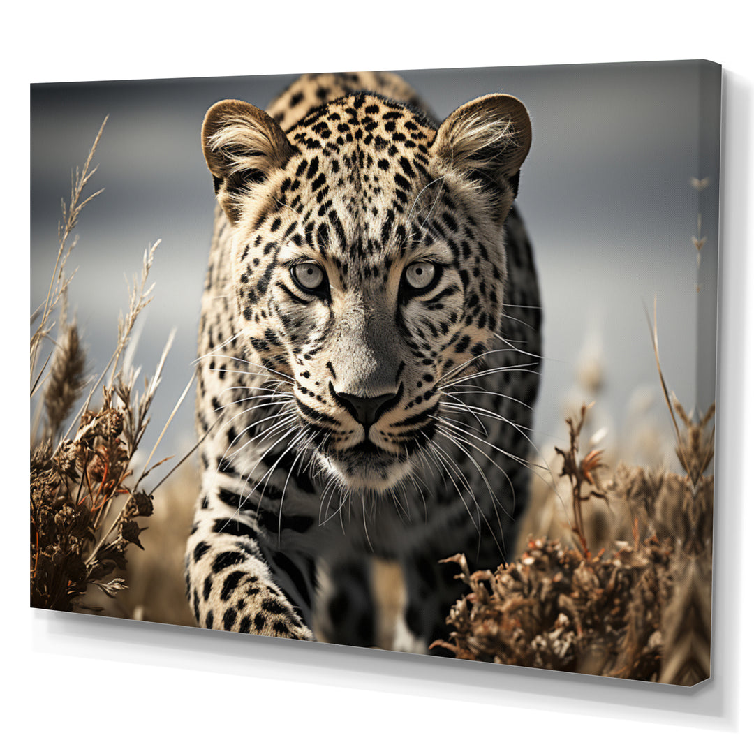 Sleek Cheetah Portrait - Cheetah Framed Canvas Art