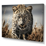 Sleek Cheetah Portrait - Cheetah Framed Canvas Art