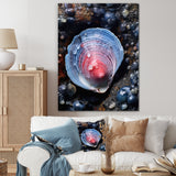 Blue Clam Dappled Depths - Clam Living Room Wall Art