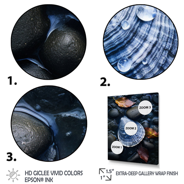 Grey Clam Dappled Depths - Clam Bedroom Wall Art