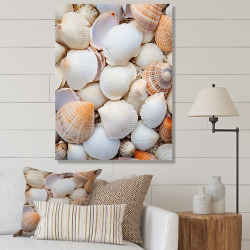 White Clam Nautical Treasures - Clam Wall Decor