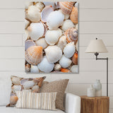 White Clam Nautical Treasures - Clam Wall Decor