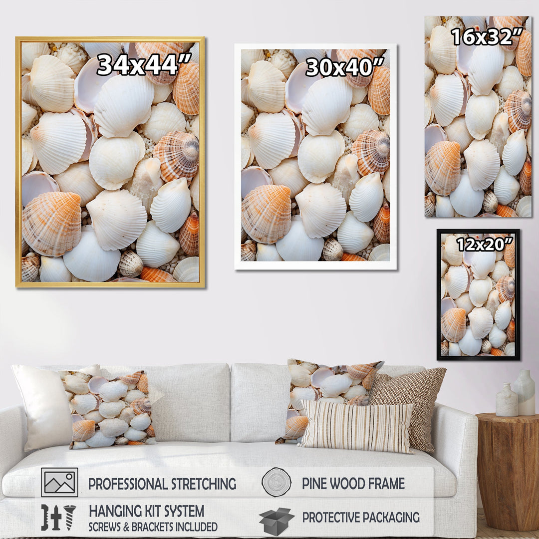 White Clam Nautical Treasures - Clam Wall Decor