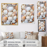 White Clam Nautical Treasures - Clam Wall Decor