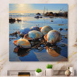 Clam Twilight Treasures - Clam Canvas Wall Art