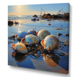 Clam Twilight Treasures - Clam Canvas Wall Art