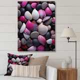Pink Grey Pink White Shells Seashore Collage - Seashell Wall Art Prints