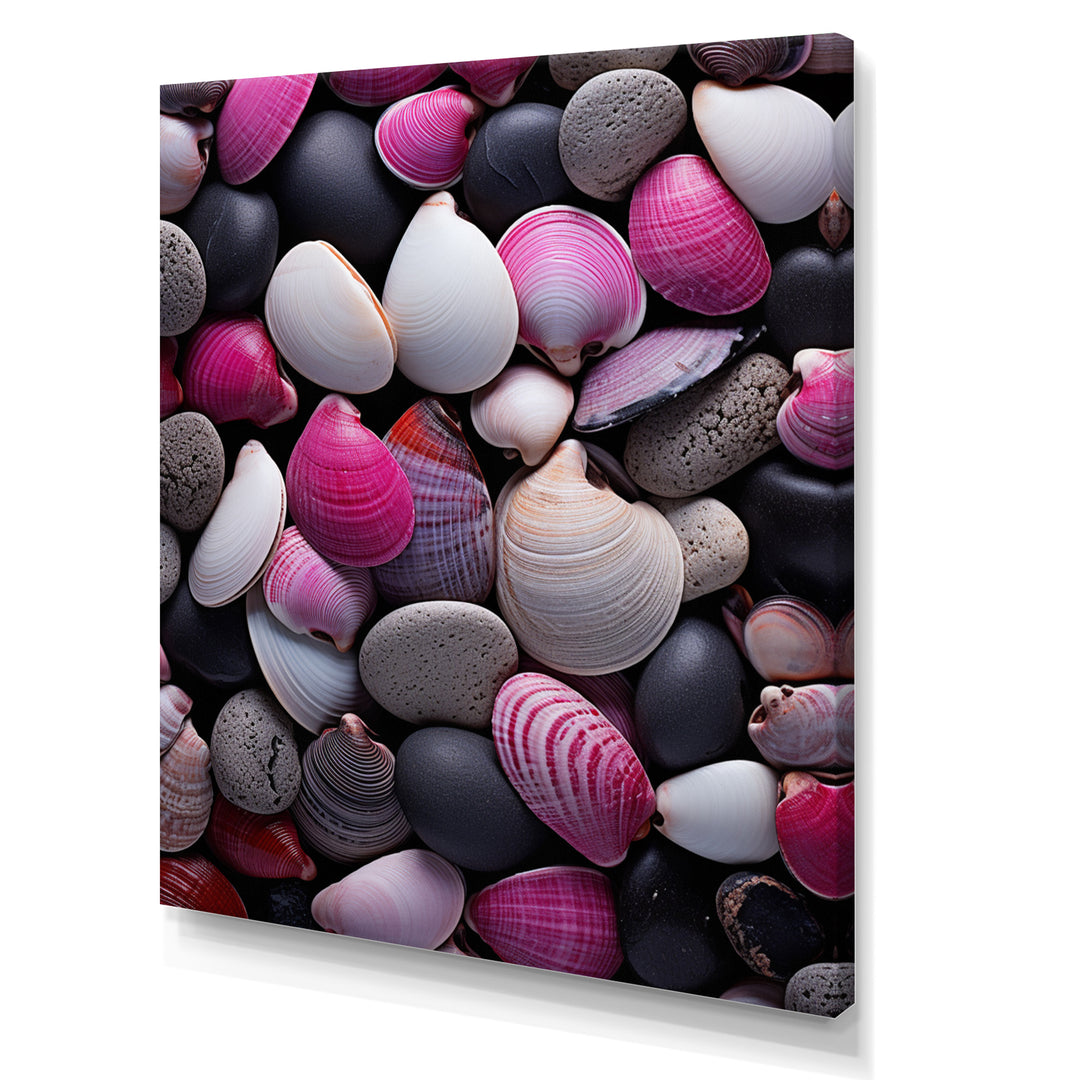 Pink Grey Pink White Shells Seashore Collage - Seashell Wall Art Prints
